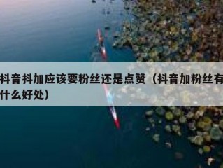 抖音抖加应该要粉丝还是点赞（抖音加粉丝有什么好处）