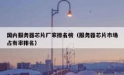 国内服务器芯片厂家排名榜（服务器芯片市场占有率排名）