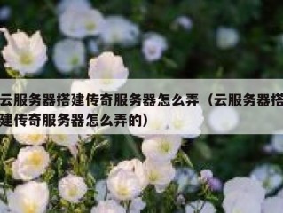 云服务器搭建传奇服务器怎么弄（云服务器搭建传奇服务器怎么弄的）