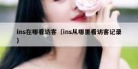 ins在哪看访客（ins从哪里看访客记录）