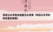 微信公众号粉丝增量怎么查看（微信公众号的粉丝量在哪看）