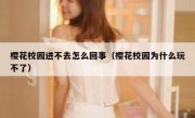 樱花校园进不去怎么回事（樱花校园为什么玩不了）