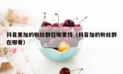 抖音里加的粉丝群在哪里找（抖音加的粉丝群在哪看）