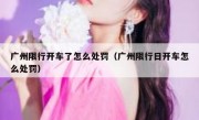 广州限行开车了怎么处罚（广州限行日开车怎么处罚）