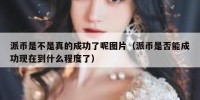 派币是不是真的成功了呢图片（派币是否能成功现在到什么程度了）
