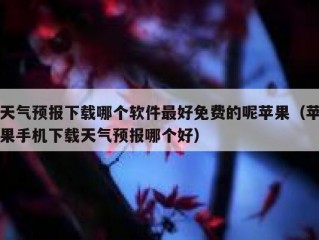 天气预报下载哪个软件最好免费的呢苹果（苹果手机下载天气预报哪个好）