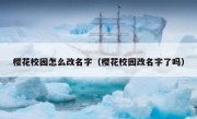 樱花校园怎么改名字（樱花校园改名字了吗）