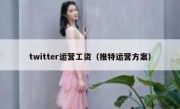 twitter运营工资（推特运营方案）