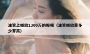 油管上播放1300万的视频（油管播放量多少算高）