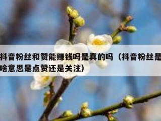 抖音粉丝和赞能赚钱吗是真的吗（抖音粉丝是啥意思是点赞还是关注）
