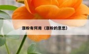 涨粉有何用（涨粉的意思）