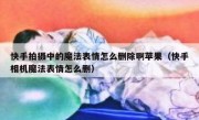 快手拍摄中的魔法表情怎么删除啊苹果（快手相机魔法表情怎么删）
