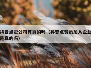 抖音点赞公司有真的吗（抖音点赞员加入企业是真的吗）
