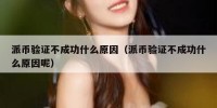 派币验证不成功什么原因（派币验证不成功什么原因呢）