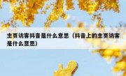 主页访客抖音是什么意思（抖音上的主页访客是什么意思）