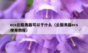 ecs云服务器可以干什么（云服务器ecs使用教程）