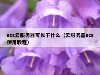 ecs云服务器可以干什么（云服务器ecs使用教程）