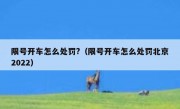 限号开车怎么处罚?（限号开车怎么处罚北京2022）