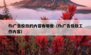 fb广告投放的内容有哪些（fb广告投放工作内容）