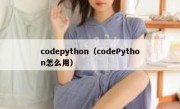 codepython（codePython怎么用）