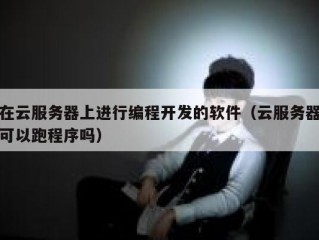 在云服务器上进行编程开发的软件（云服务器可以跑程序吗）