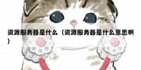 资源服务器是什么（资源服务器是什么意思啊）