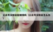 公众号没粉丝能赚钱吗（公众号没粉丝怎么办）