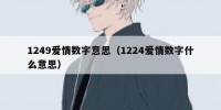 1249爱情数字意思（1224爱情数字什么意思）