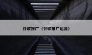 谷歌推广（谷歌推广运营）