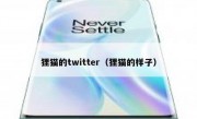 狸猫的twitter（狸猫的样子）