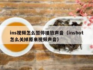 ins视频怎么暂停播放声音（inshot怎么关掉原来视频声音）