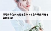 限号开车怎么处罚北京市（北京车牌限号开车怎么处罚）
