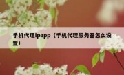 手机代理ipapp（手机代理服务器怎么设置）