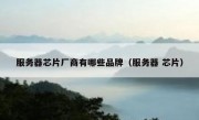 服务器芯片厂商有哪些品牌（服务器 芯片）