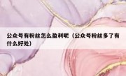 公众号有粉丝怎么盈利呢（公众号粉丝多了有什么好处）