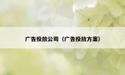 广告投放公司（广告投放方案）