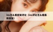 ins怎么看回复评论（ins评论怎么看最新回复）