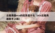 云服务器ecs的优势是什么（ecs云服务器新手上路）