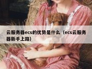 云服务器ecs的优势是什么（ecs云服务器新手上路）