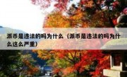 派币是违法的吗为什么（派币是违法的吗为什么这么严重）