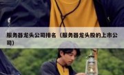 服务器龙头公司排名（服务器龙头股的上市公司）