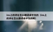 ins上的评论怎么翻译成中文的（ins上的评论怎么翻译成中文的呢）