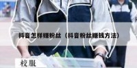 抖音怎样赚粉丝（抖音粉丝赚钱方法）