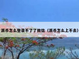 派币怎么登录不了了微信（派币怎么上不去）