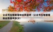 公众号在哪里看粉丝数量啊（公众号在哪里看粉丝数量啊多少）