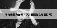 华为云服务在哪（华为云服务在哪里打开）