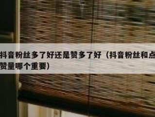 抖音粉丝多了好还是赞多了好（抖音粉丝和点赞量哪个重要）