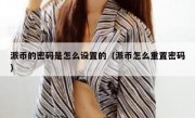 派币的密码是怎么设置的（派币怎么重置密码）