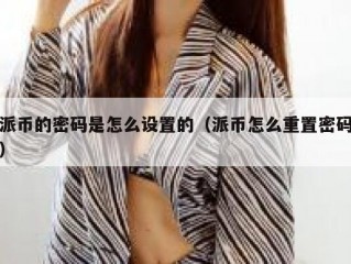 派币的密码是怎么设置的（派币怎么重置密码）