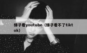 梯子看youtube（梯子看不了tiktok）